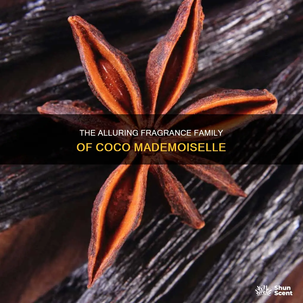 what fragrance family is coco mademoiselle