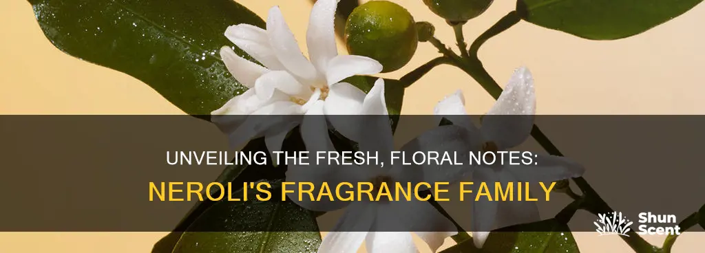 what fragrance family is neroli