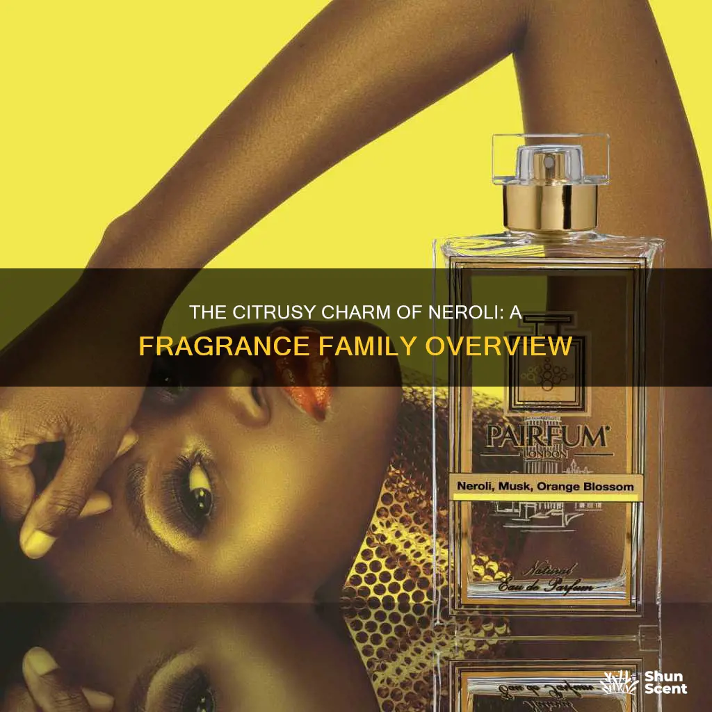 what fragrance family is neroli