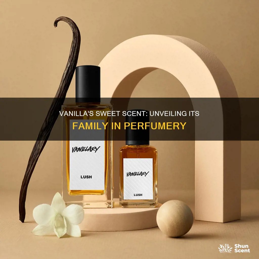 what fragrance family is vanilla