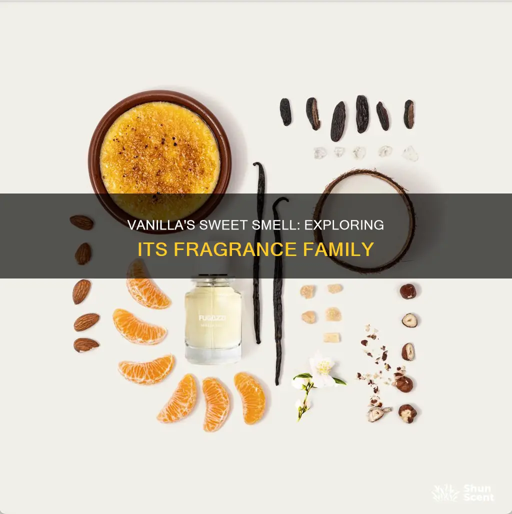 what fragrance family is vanilla