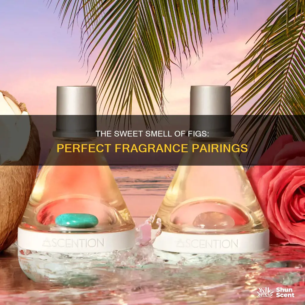 what fragrance goes well with fig