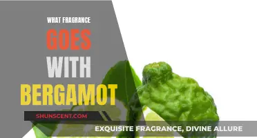 Bergamot's Best Companions: Exploring Fragrant Matches