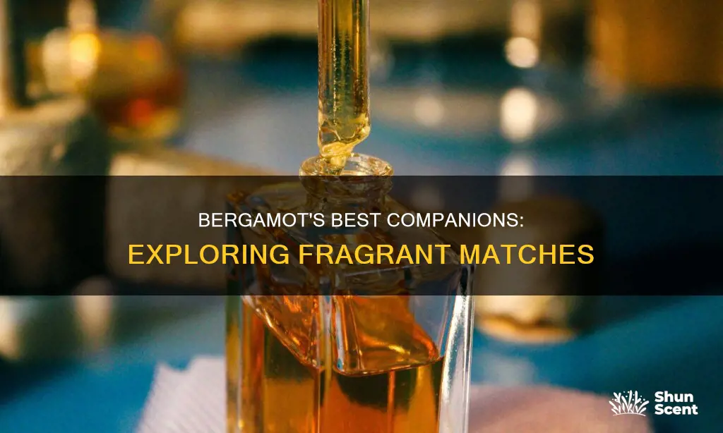 what fragrance goes with bergamot