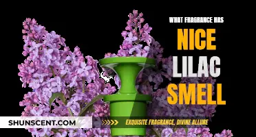 The Lilac Scent: Discovering Fragrances with a Lilac Note