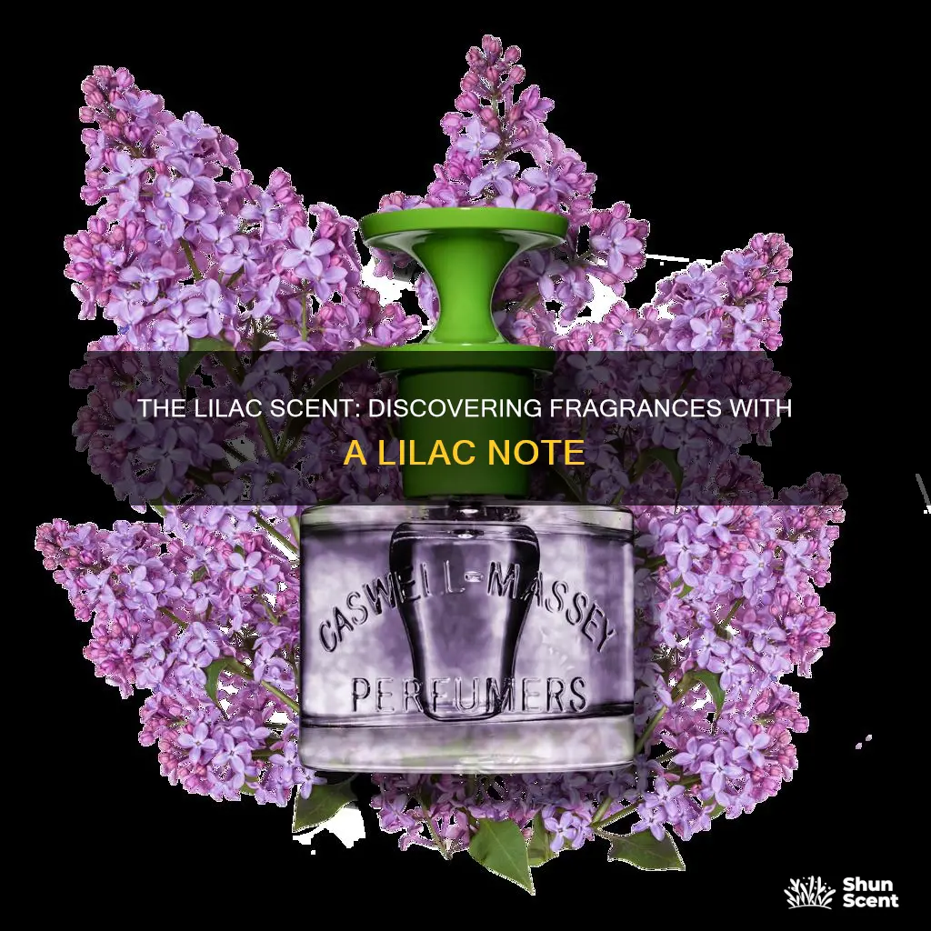 what fragrance has nice lilac smell