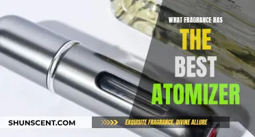 The Ultimate Guide to the Best Atomizer Fragrances