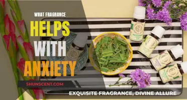 Scented Solutions: Aromatherapy for Anxiety Relief