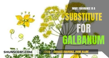 Galbanum's Fragrant Alternatives: Discovering Unique Substitutes