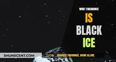 Unveiling the Mystery: Black Ice's Alluring Scent