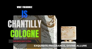 Chantilly Cologne: A Sweet Fragrance with a Musky Base