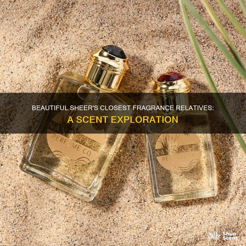 what fragrance is close to beautiful sheer