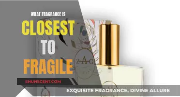 Fragile's Scent: Exploring the Essence of Fragrance Similarity