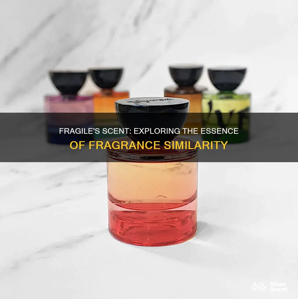 what fragrance is closest to fragile