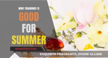 Summer Scents: Refreshing Fragrances for the Warm Season