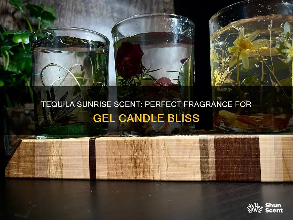 what fragrance is good for tequila sunrise gel candles