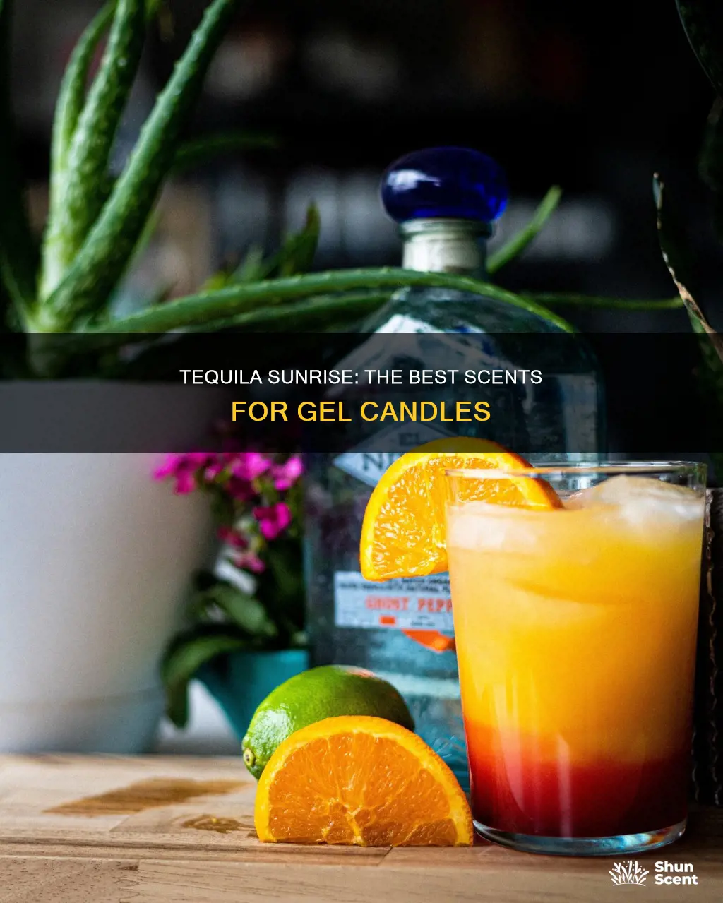 what fragrance is good for tequila sunrise gel candles