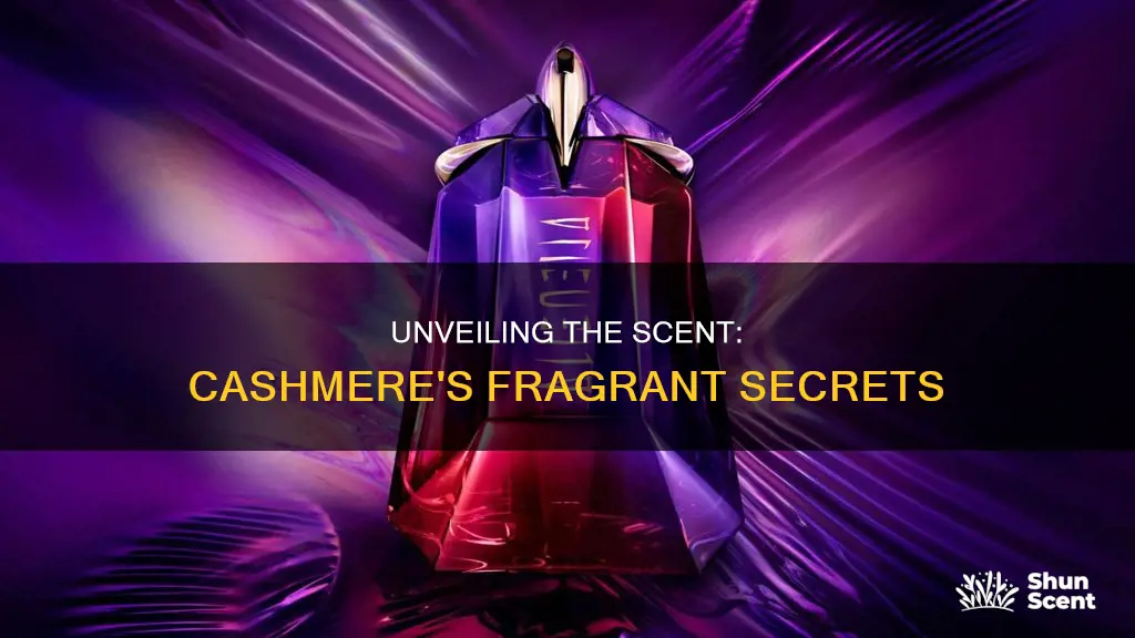 what fragrance is in cashmere perfume set