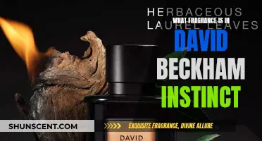 Uncover the Scent: David Beckham's Instinct Fragrance