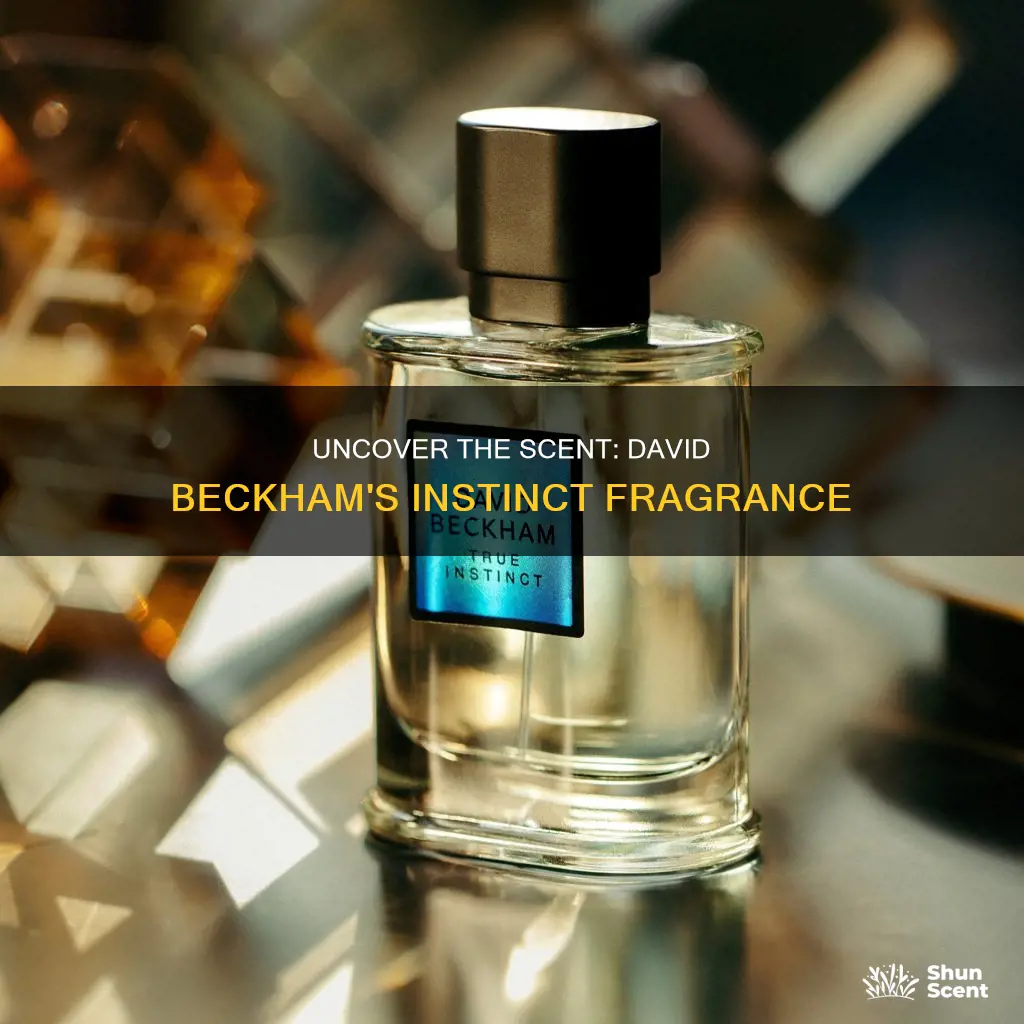 what fragrance is in david beckham instinct