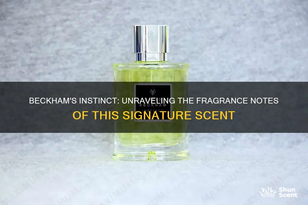 what fragrance is in david beckham instinct