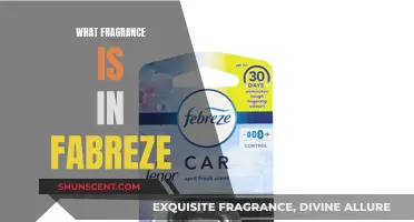 Unveiling Fabreze's Scent: A Fragrant Mystery Solved