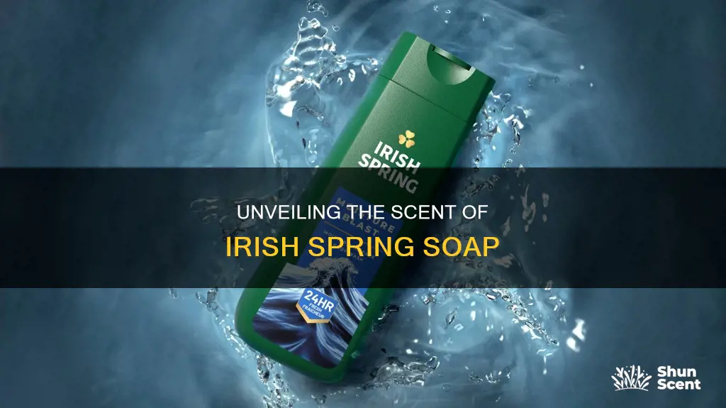 what fragrance is in irish spring soap