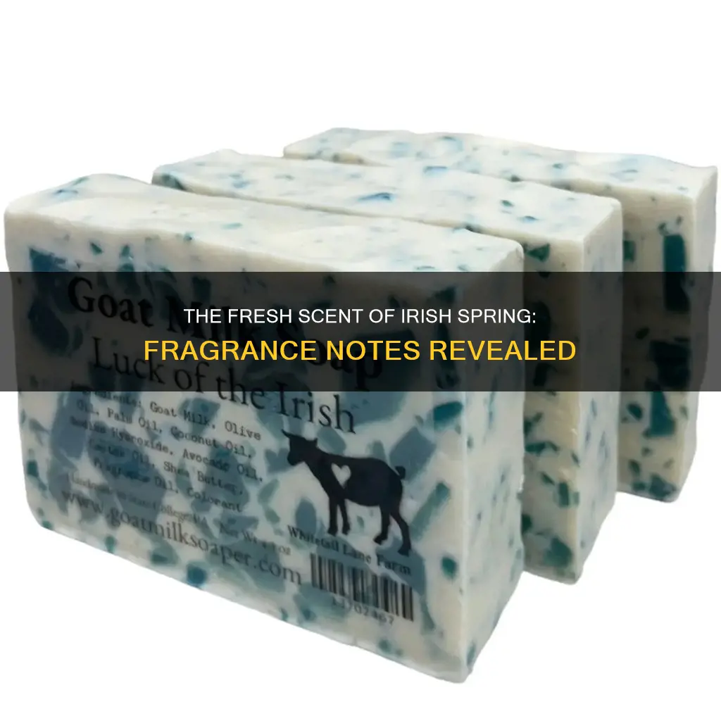 what fragrance is in irish spring soap