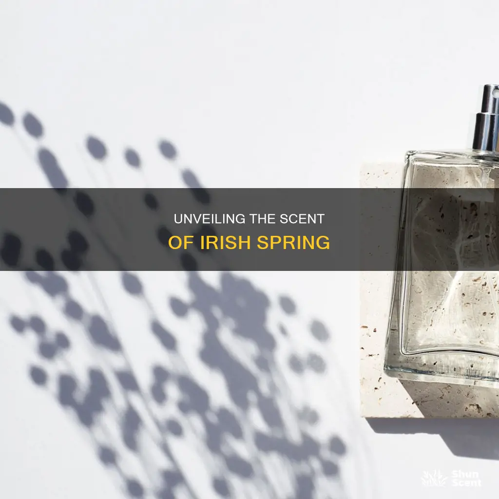 what fragrance is in irish spring