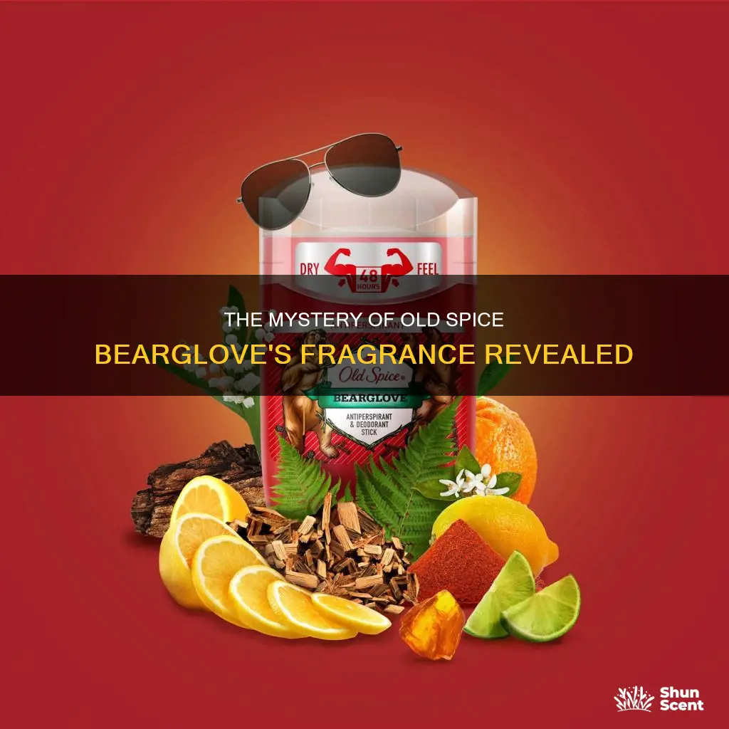 what fragrance is in old spice bearglove