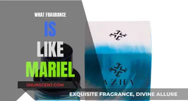 Scent of Mariel: A Fragrant Journey