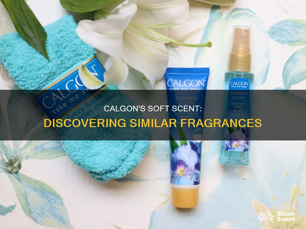 what fragrance is similar to arshmellow calgon