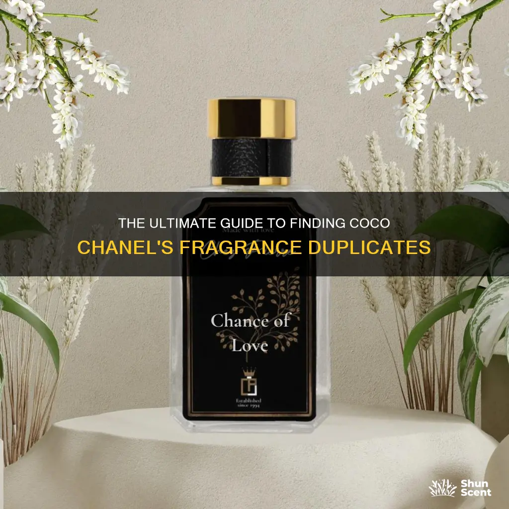 what fragrance is similar to coco chanel