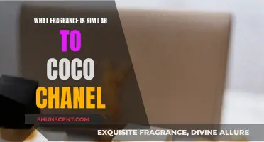 Exploring Fragrances: Chanel Coco's Sensual Sisters