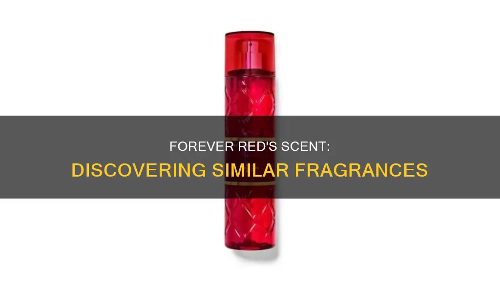 what fragrance is similar to forever red