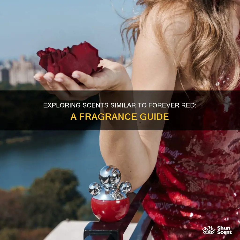 what fragrance is similar to forever red