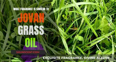 Exploring Fragrances: Alternatives to Jovan Grass Oil