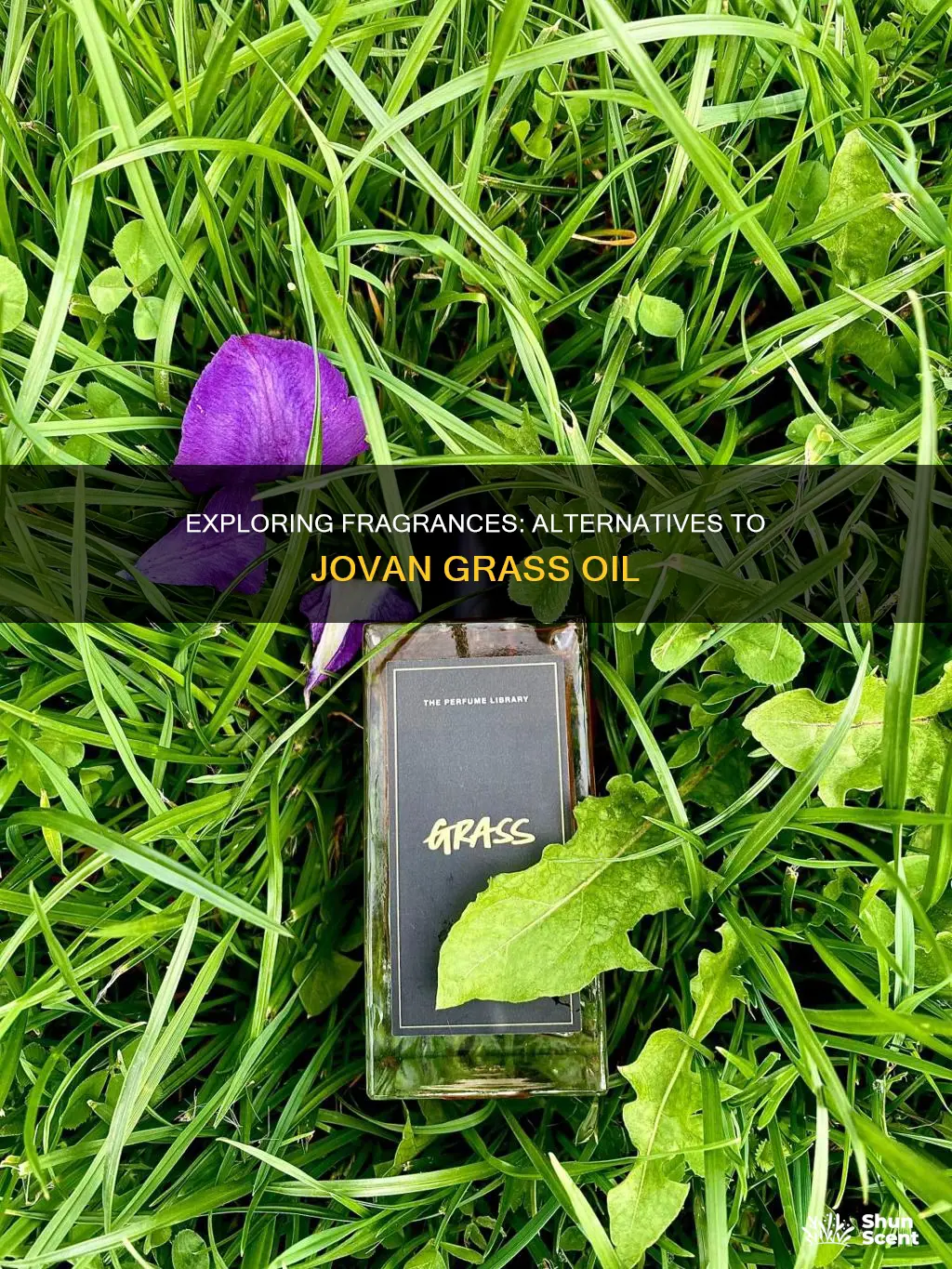 what fragrance is similar to jovan grass oil