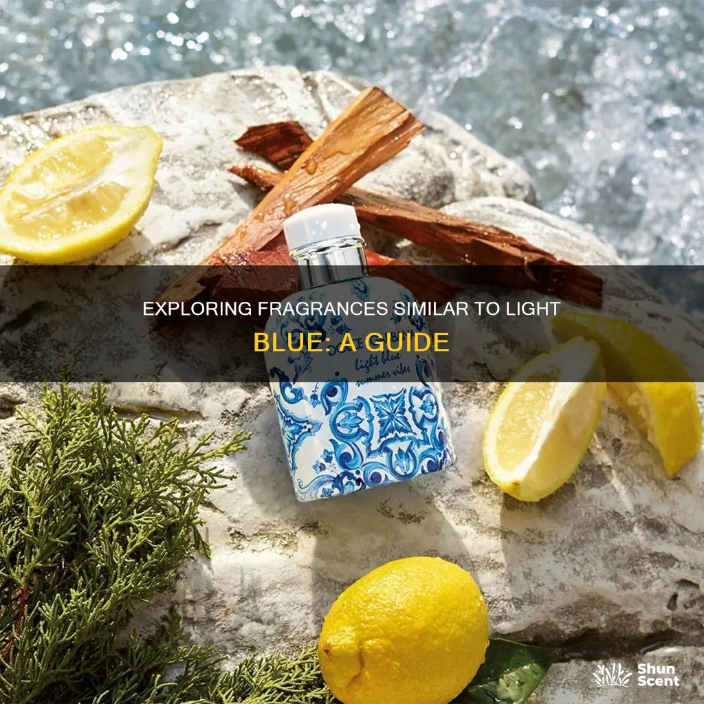 what fragrance is similar to light blue