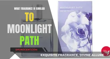 Moonlight Path's Scent: Discovering Similar Fragrances