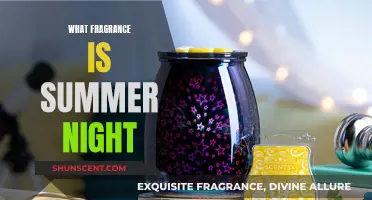 Captivating Scents: Unveiling the Essence of Summer Nights