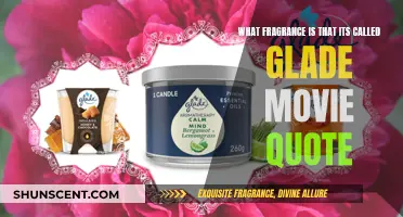 Scent of Cinema: Unveiling the Mystery of 'Glade Movie Quote' Fragrance