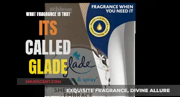 Unveiling the Mystery: What's the Name of That Glade Fragrance?