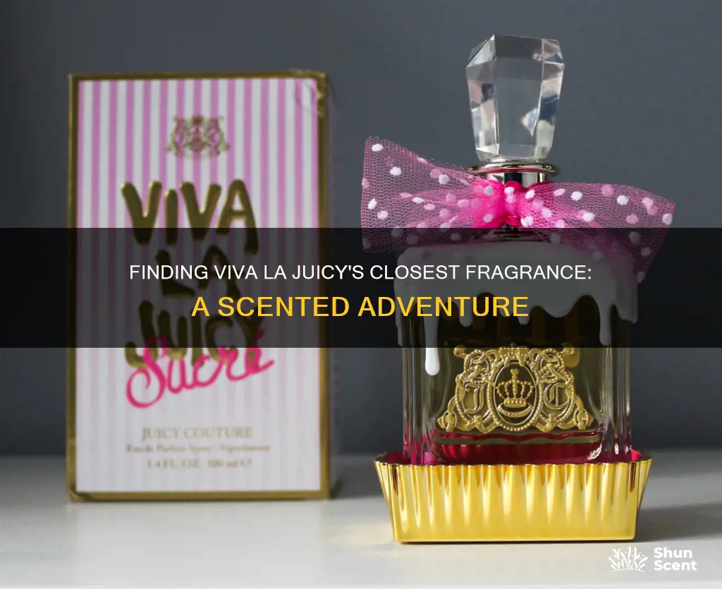 what fragrance is the closest scent to viva la juicy