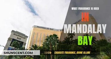The Signature Scent of Mandalay Bay: A Fragrance Journey