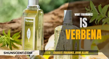 Unveiling the Verbena Scent: A Fragrant Journey