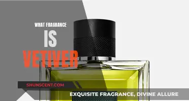 The Unique and Captivating Scent of Vetiver