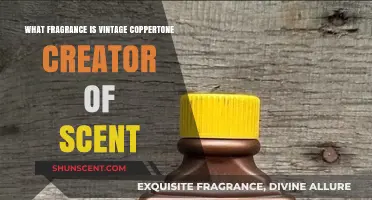 Unveiling the Timeless Essence: Vintage Coppertone's Signature Scent