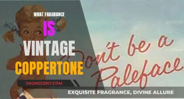 Unveiling the Scent of Nostalgia: Vintage Coppertone's Fragrant Legacy