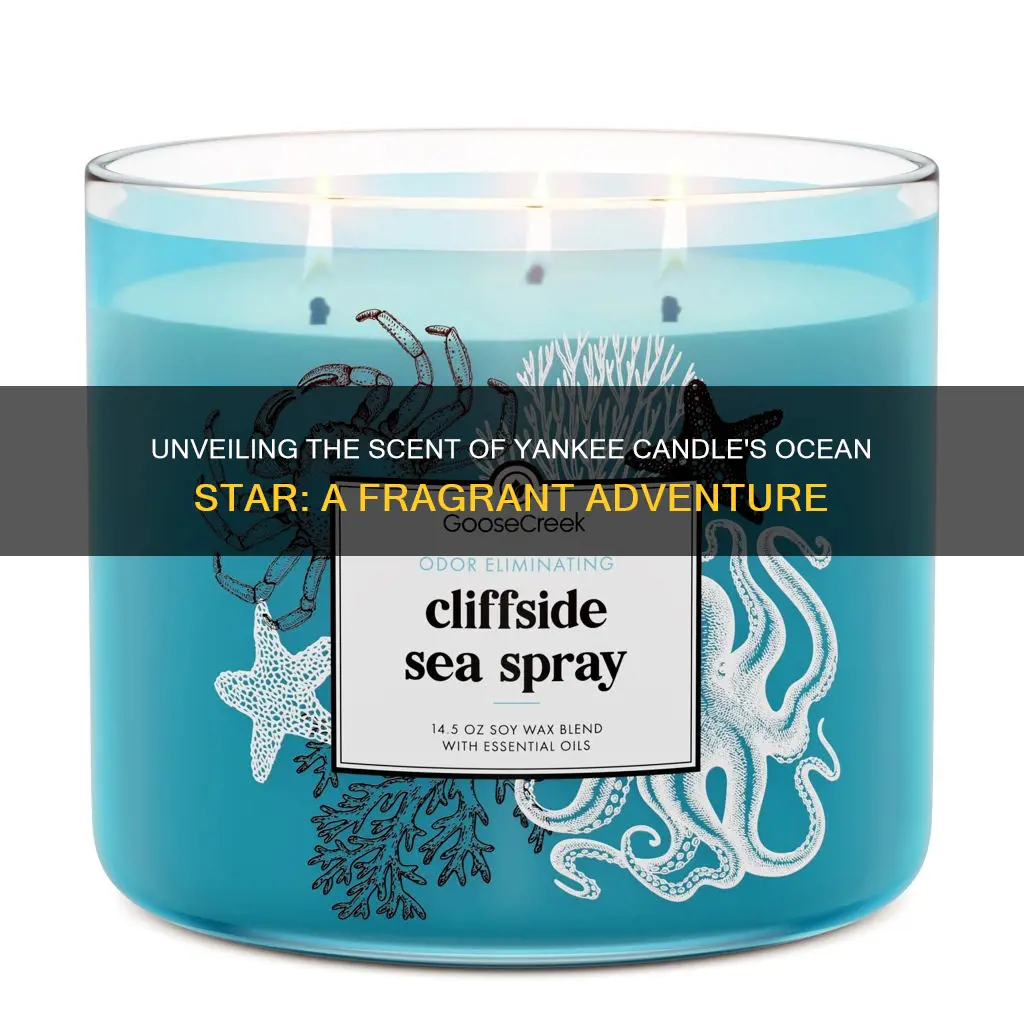 what fragrance is yankee candle ocean star